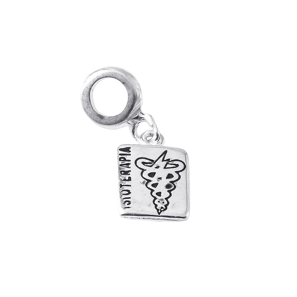 DIJE DE PLATA 925 RECTANGULAR FISIOTERAPIA - D2688 - Imagen 2