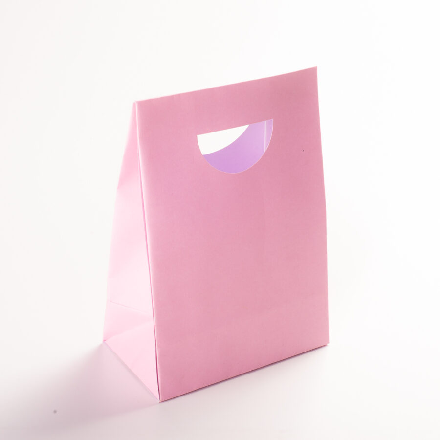 BOLSAS DE PAPEL COLORES SURTIDOS PACK X 15 - BDP01 - Imagen 7