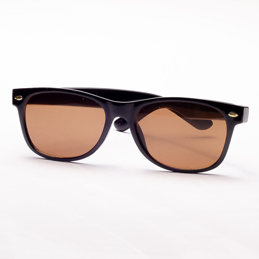 LENTES MARRONES CON MARCO NEGRO Y DETALLE DORADO