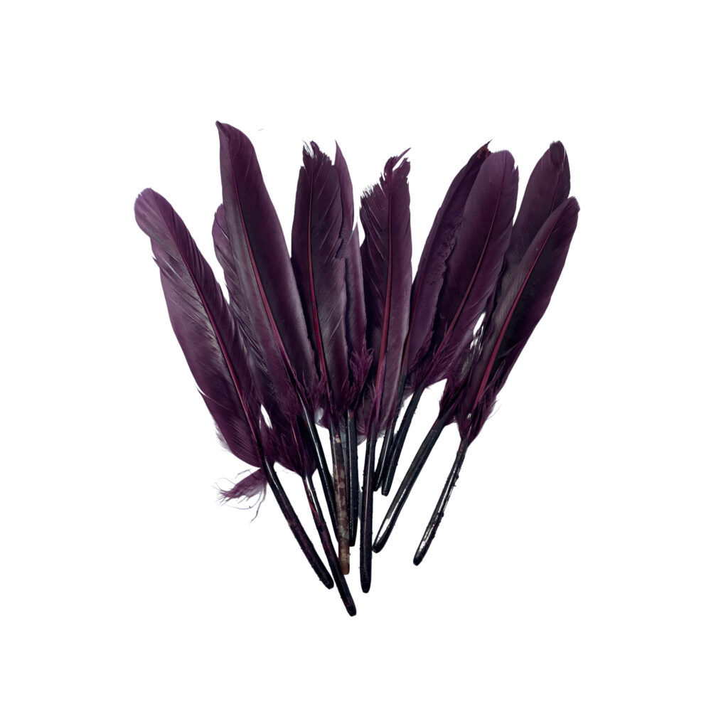 PL02-B -PLUMAS COLOR VIOLETA X 10 UNIDADES
