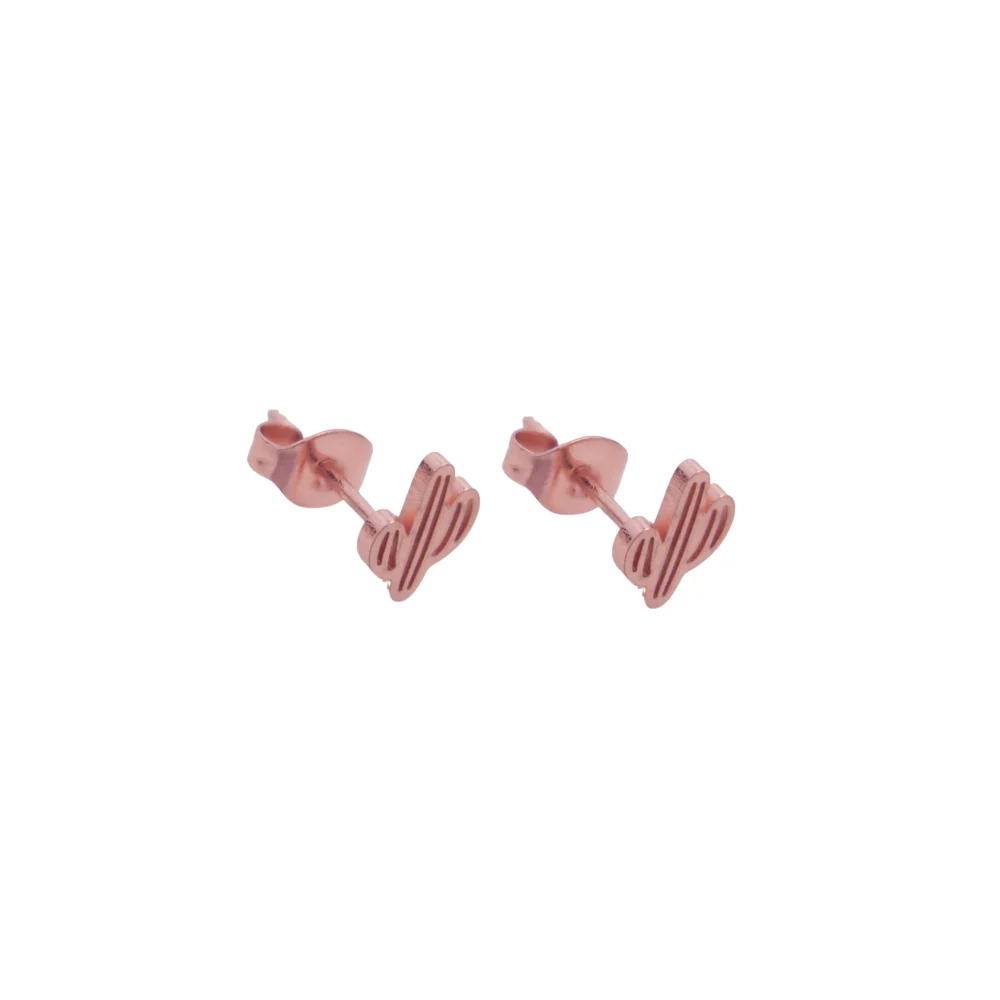 ACE643X- AROS PASANTES CACTUS ACERO ROSE