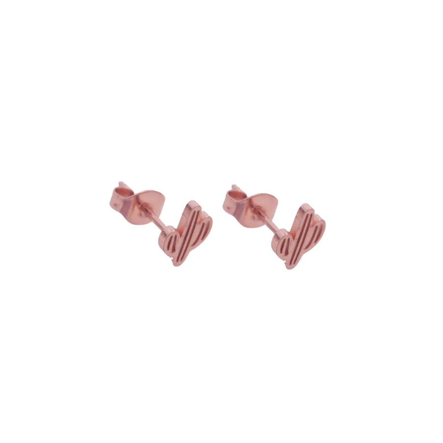 ACE643X- AROS PASANTES CACTUS ACERO ROSE