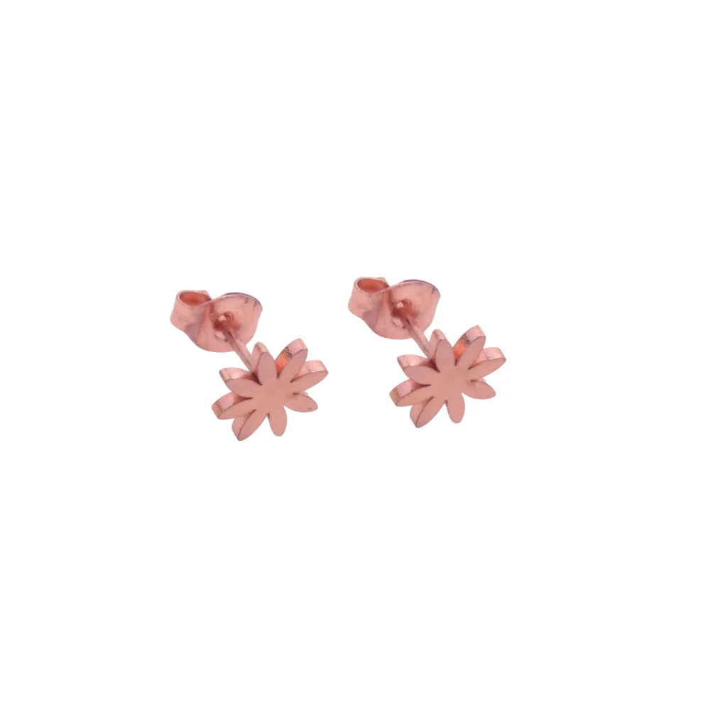 COMB25- COMBO DE AROS PASANTE DE ACERO BLANCO, DORADO, ROSA POR 10 PARES ( IMAGEN ILUSTRATIVA, PRODUCTOS SIN ELECCION SURTIDOS) - Imagen 7