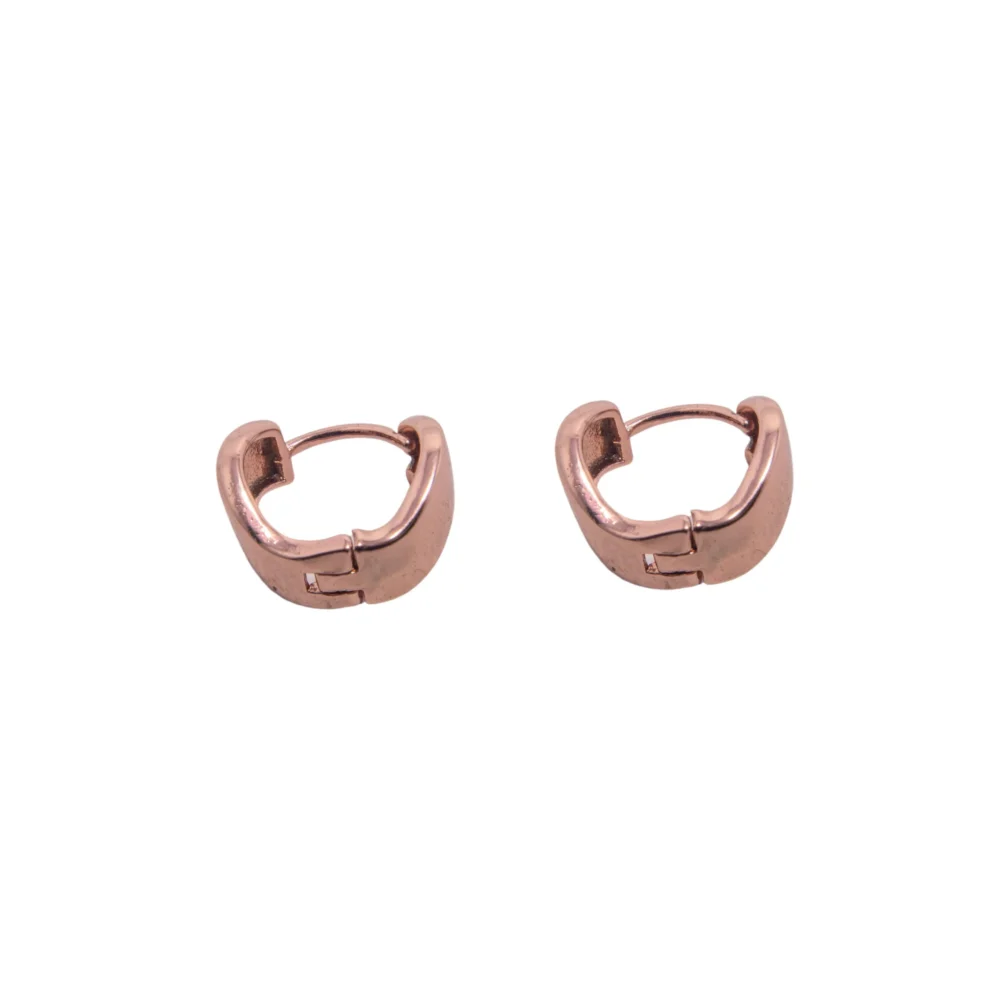 AROS DE PLATA 925 ROSE ARGOLLITA CHICA CON CURVA - AGR12