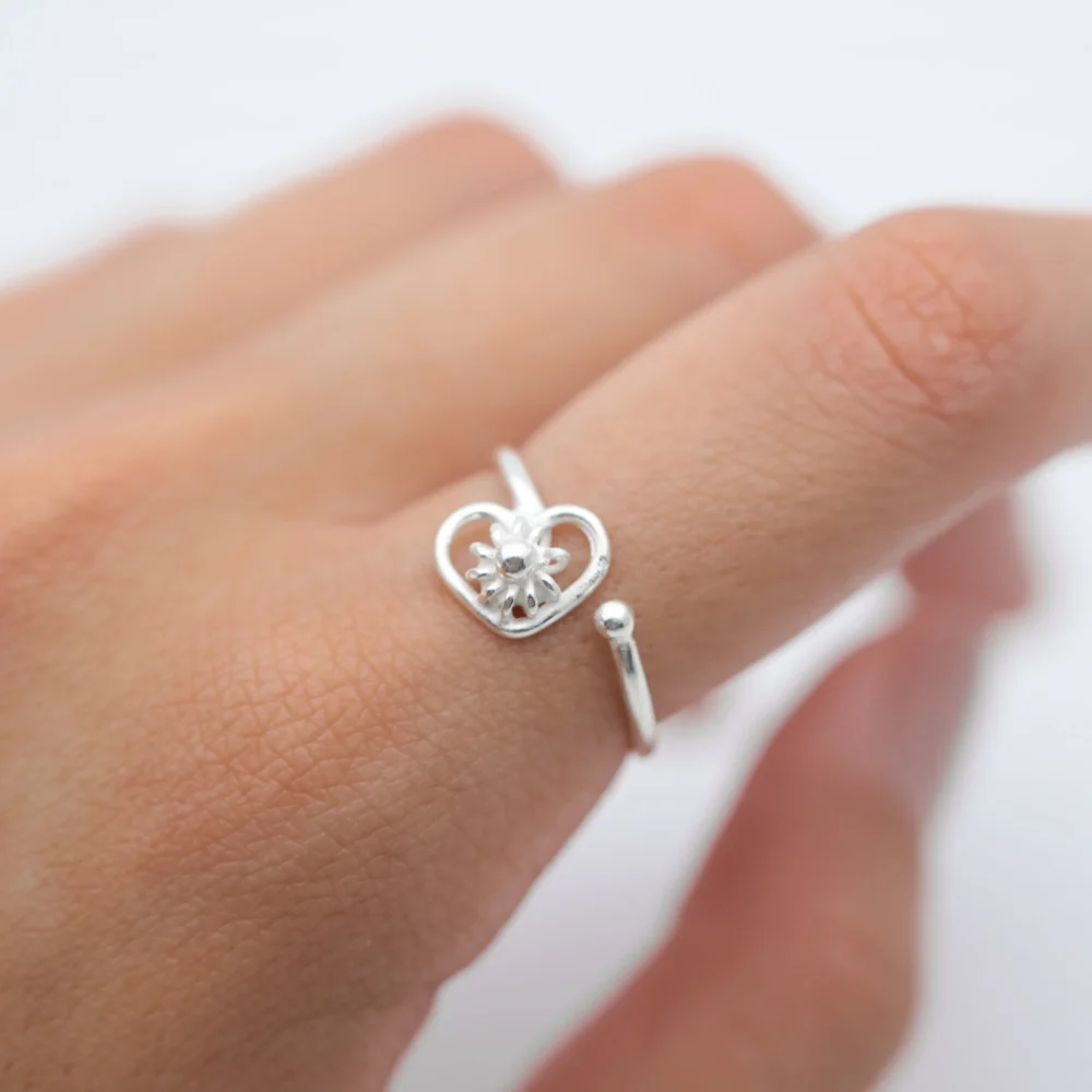 ANILLO