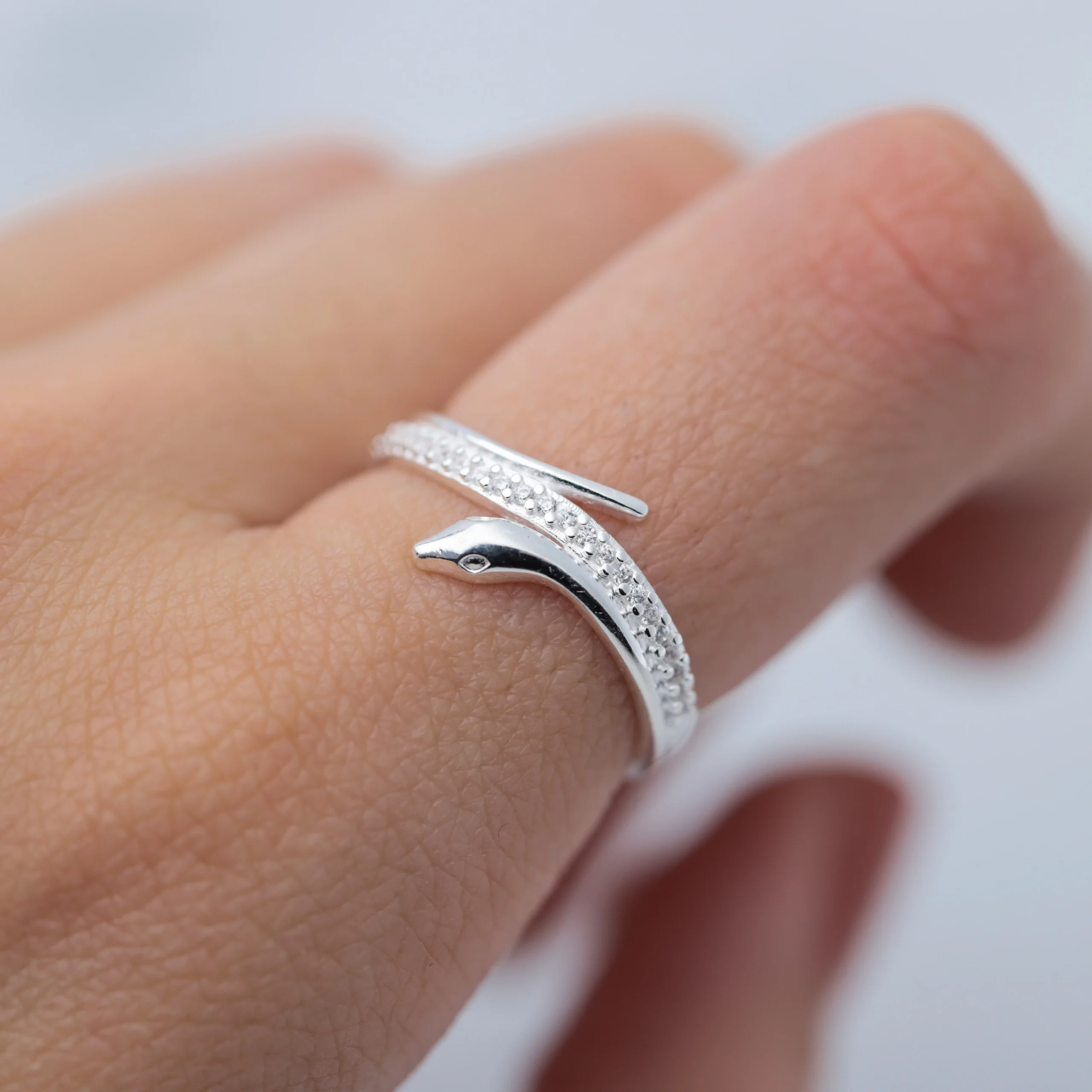 ANILLO SER
