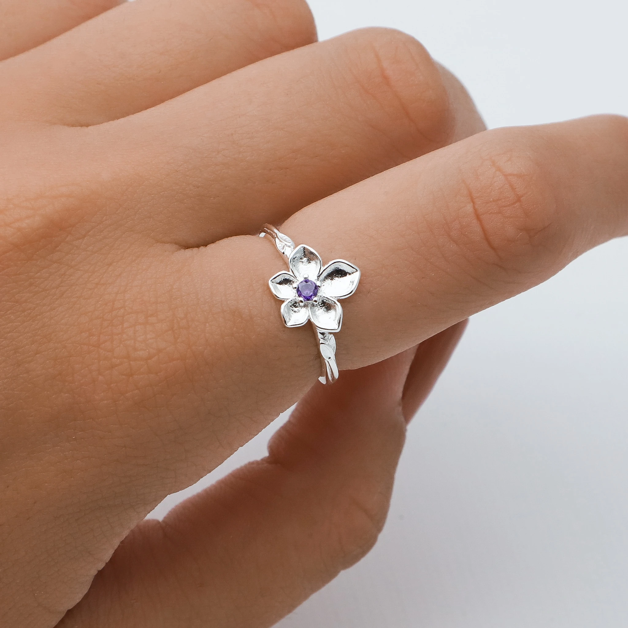 ANILLO